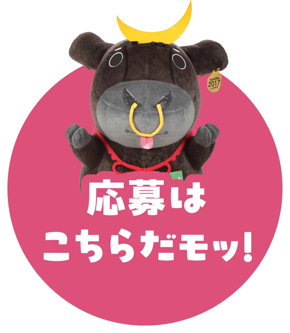 WEBからの応募はこちらだモッ！